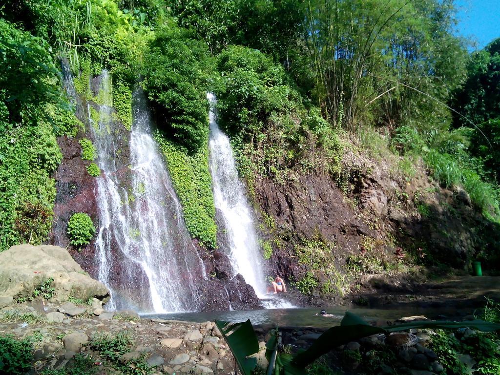 Banyuwangi Homestay Exterior photo